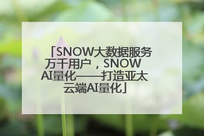 SNOW大数据服务万千用户，SNOW AI量化——打造亚太云端AI量化