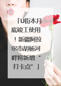 U街本月底竣工使用！新疆阿拉尔市胡杨河畔将新增“打卡点”